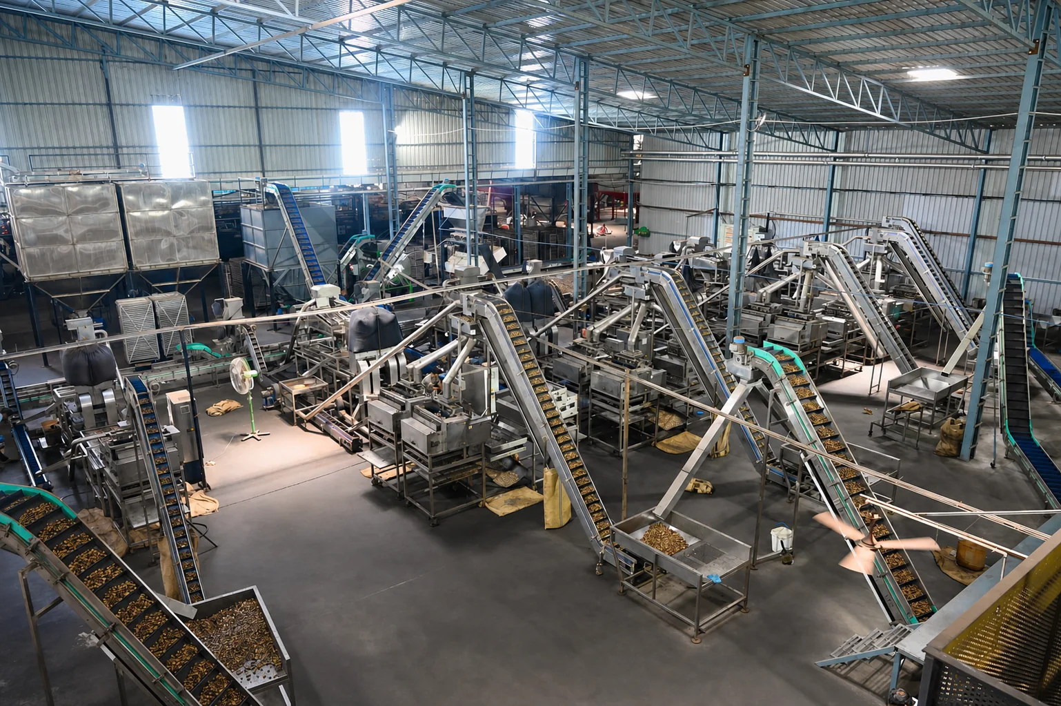 Wide view of Satyam's integrated cashew processing floor
